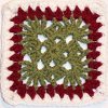 Cranberry Christmas Granny Square