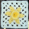 Daffodil Square