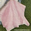 Flamingo Pink Baby Blanket