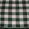 Gingham Ghan