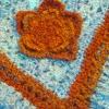 Simple Turquoise and Orange Afghan
