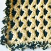 Sporty Baby Blanket