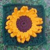 Sunflower Square