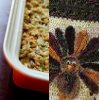 Eat and Crochet 12 Thanksgiving Crochet Patterns Casserole Recipes