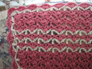 Raspberry Swirls Crochet Throw